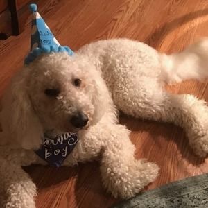 Meet your Posher, Cheryl